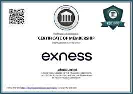 Ensuring a Secure Exness Website Best Practices and Features